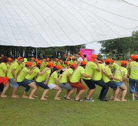 Tourism Trainning